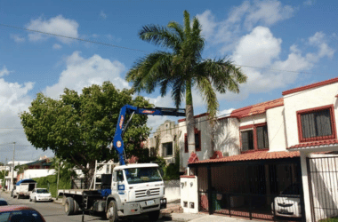 RENTA DE GRUAS EN PLAYA DEL CARMEN